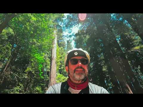 Northern California is wild