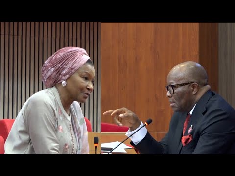 Drama Sen Ireti Kingibe Fight Akpabio Senators rejection of motion against Wike