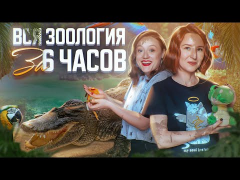 Вся зоология за 6 часов | ЕГЭ-2025 по биологии