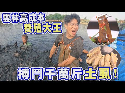 【雲林】搏鬥千萬公斤土虱!全台之冠土虱大王《世界第一等》1052集精華版