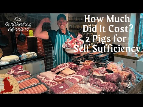 How to Butcher Half A Pig At Home & How Much it Cost to Raise Pigs for Smallholding Self Sufficiency