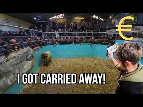 MONEY SPENT, MONEY SAVED, €2000 BACK IN MY POCKET!