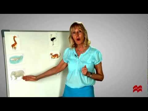 Ideas for using flashcards