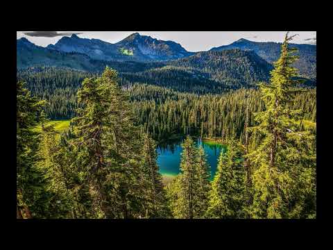 הרפיה וטראנס עמוק יחד עם דמיון מודרך משולב לניקוי רגשי והעצמה-nlp חיבורים