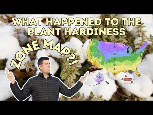 Zone Hardiness Maps Changed in a BIG WAY - What This Means For You (The Answer is Surprising)