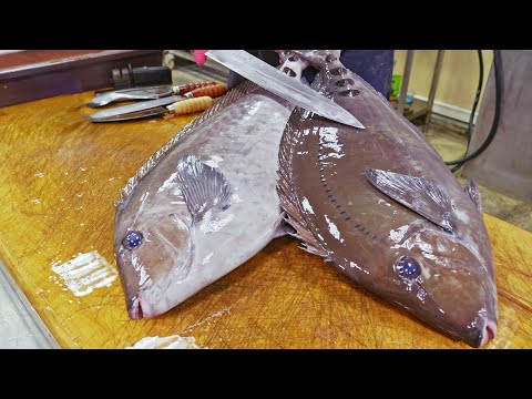 Amazing Scalpel sawtail fish at the port, Fish cutting Skills, Fish porridge/驚人的漁港場面!鋸尾鯛(黑豬仔),魚的切割技巧