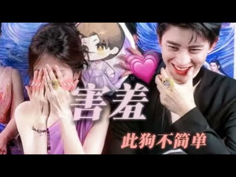 【白鹿X敖瑞鹏】“训狗师”也会被帅狗狗整害羞呐…一些直播细节糖,包甜的#白鹿 #敖瑞鹏