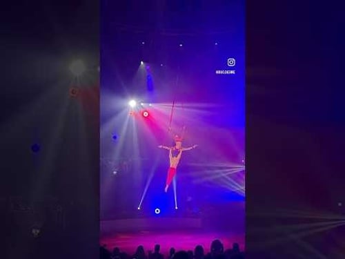 13th Festival Internacional del Circ Elefant d'Or / 2025