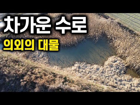 The taste of where narrow and large waterways meet!!