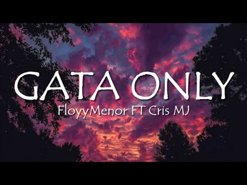 FloyyMenor - GATA ONLY ft. Cris MJ (Letra/Lyrics)