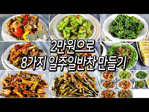 식비절약! 2만원으로 만드는 8가지의 일주일반찬 /반찬만들기/밑반찬만들기/반찬/dishes recipe