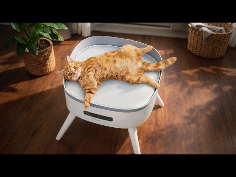 25 Cozy Winter Gadgets Youโll Wish You Had Sooner