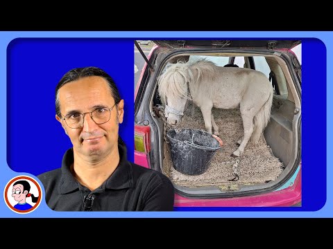 News stories I didn't have time to cover