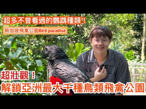 大開眼界!親眼見到吸血鬼鸚鵡?!絕美環境被上千隻鳥類包圍✨前進亞洲最大鳥園!新加坡飛禽公園Bird Paradise(上集)【鸚鵡小木屋】