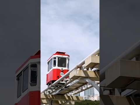 The Silly Retro Capsules of Busan