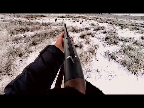 ОХОТА НА ЗАЙЦА РУСАКА ЯНВАРЬ(2024)ЗАЙЦЫ ПОД КАЖДЫМ КУСТОМ!