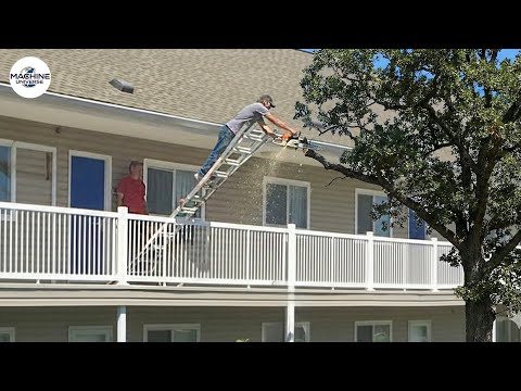 Idiots With Chainsaws: Tree Cutting Fails | Extreme Dangerous Logging Truck Fails #23