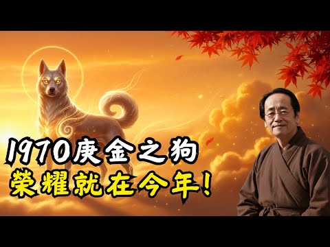 生肖狗:1970年命帶庚金之狗,註定不凡! #2025年生肖狗運勢 #2025年生肖狗運程 #2025年屬狗運勢 #2025年屬狗運程