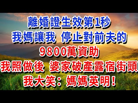 離婚證生效第1秒,我媽讓我 停止對前夫的9800萬資助,我照做後 婆家破產露宿街頭,我:媽媽英明!#書婷講故事 #為人處世#生活經驗#情感故事#晚年哲理#說故事#完結文