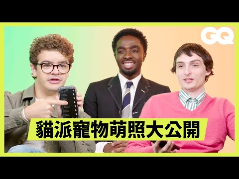 打開《怪奇物語》主演們的手機!誰最常在群組瞎傳?寵物萌照大公開他們竟然都是貓派!|GQ Taiwan