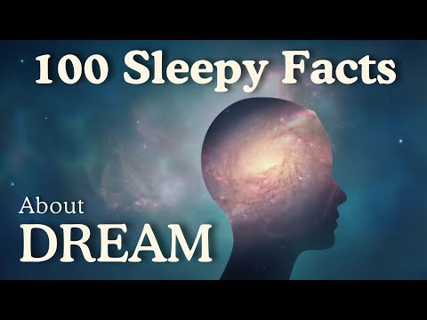 Why Do We FORGET Our Dreams? Soothing Mind Facts for Deep Sleep