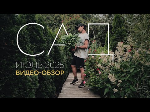 ОБЗОР САДА. июль 2025