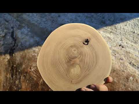 Секрет спилов без трещин. Столики из спилов. Обработка торцевых спилов, сушка. Станок белмаш