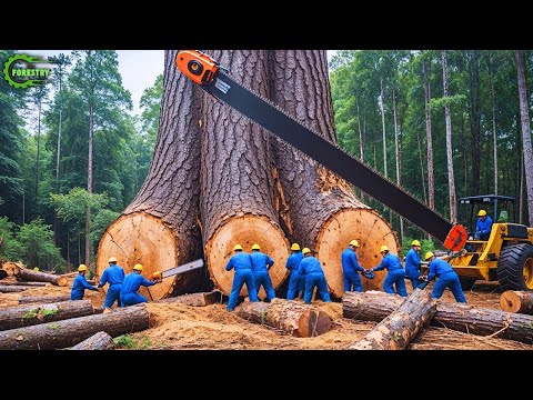 Extreme Dangerous Fastest Big Chainsaw Cutting Tree Machines | Monster Stump Removal Excavator #87