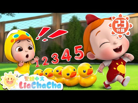 五隻小鴨走丟了 +更多 | 數一數,小鴨子 | 數字歌 Number Song | 國語童謠 | LiaChaCha 依娜和恰恰 - 繁體中文 - 兒歌童謠