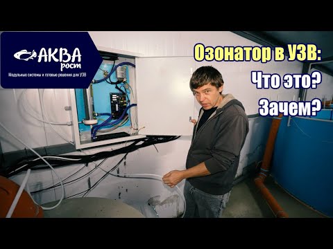 Что такое озонатор и зачем он в УЗВ #система #узв #рыба #акварост #форель #осетр #озон