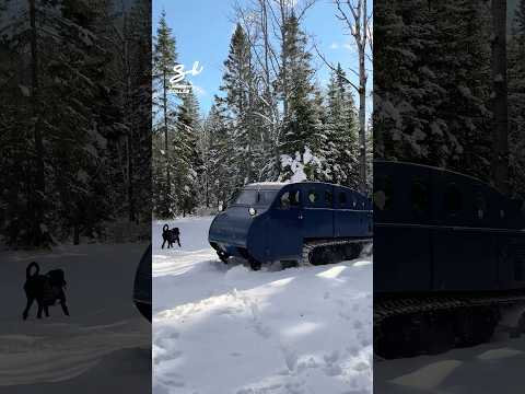 The 1947 Bombardier B12! 💪 #tank #old #cars