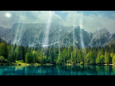 How Trees Clean the Air