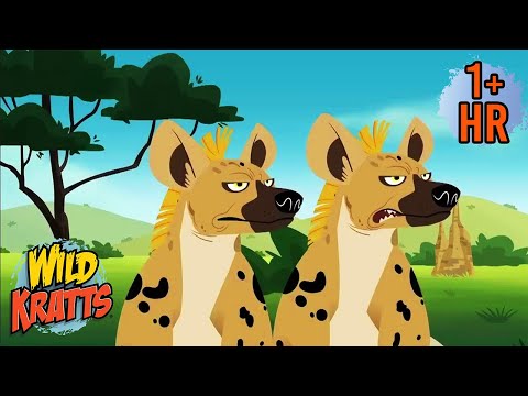 Giraffes, Zebras, and Lions | Savanna Safari Adventure | Wild Kratts | 9 Story Kids