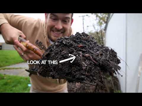 5 Things I Learned That Changed The Way I Compost