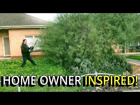 FREE Yard Clean Up INSPIRES Homeowner To Take ACTION - His Reaction Says It ALL