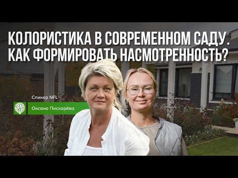 Колористика в современном саду. Как формировать насмотренность?