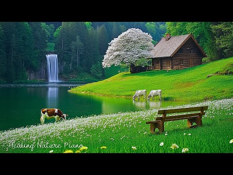 Healing Music for Inner Peace 🌿 Calm Nature Sounds for Stress Release & Deep Sleep, Relaxing Music