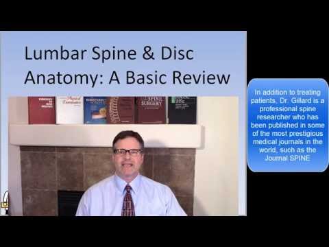 Dr. Gillard's presentation of Lumbar Spine and Disc Anatomy