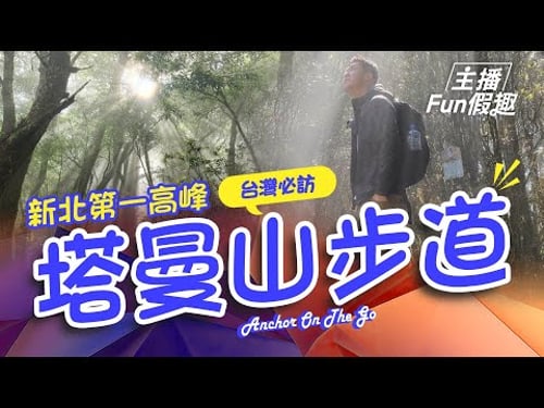 解鎖新北第一高峰「塔曼山步道」被魔幻巨木群包圍!領略一門讓人學會敬畏的山林課|Taman Mountain Taiwan【#主播Fun假趣】|#廖科溢 #董覲僑