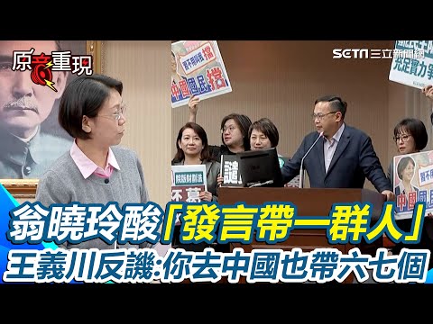 綠委抗議!翁曉玲酸「發言帶一群人」!王義川反譏:你去中國也帶六七個!程序委員會爆口角…翁曉玲稱「沒聽見有異議」綠委衝主席台敲桌怒吼【94要客訴】