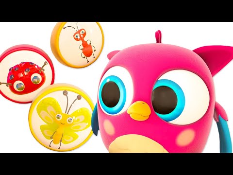 Развивающие мультики для малышей Совенок Хоп хоп. Новая серия - Насекомые @OwletHophop