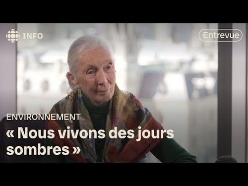 Entrevue avec la primatologue Jane Goodall, pionnière de la conservation | 24•60