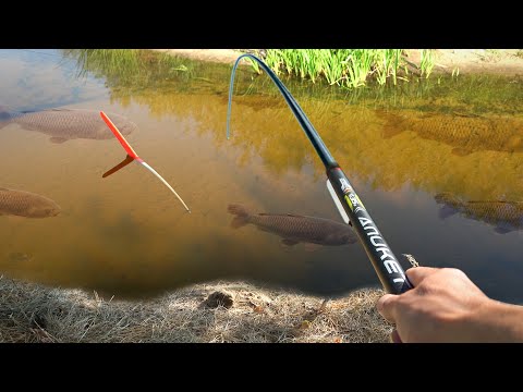 I tried fishing with BREAD and you won't believe what happened!