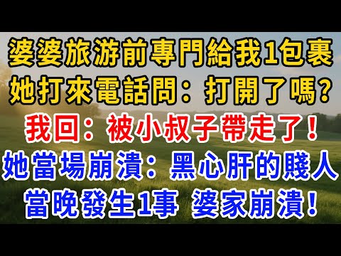 婆婆帶全家海外旅遊,獨留我臨盆在家,臨走前給我留了個 “待產包裹”,她打來電話問:“打開了嗎?” 我回:“被小叔子帶走了!” 她當場崩潰:黑心肝的賤人,當晚發生一事,全家被攔遣返 婆家崩潰!