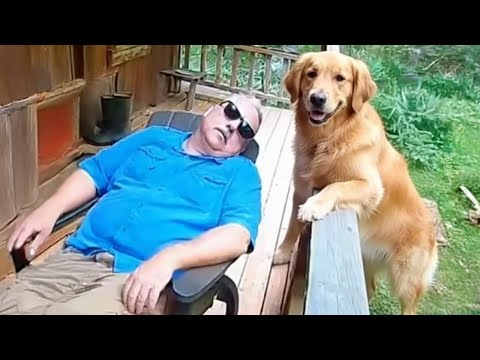 When You Live with a Comedian Dog 😂 Funny Dog and Human