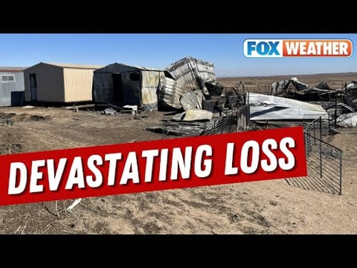 Texas Family Loses Farm, Pigs In Tragic Smokehouse Creek Fire