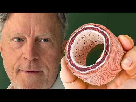 #1 Absolute Best Way to Clean Arteries