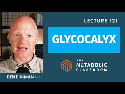 121: Why the Glycocalyx is a Hidden Key to Metabolic Health & How to Protect It with Dr. Ben Bikman
