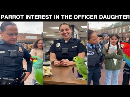 Parrot Expressing Interest in the Officerโs Daughter with a Humorous Proposal"๐