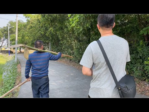 台山百曉:今日分享視頻地點是台山市大江鎮陳邊鄉福山村與福田村,這兩條村落都是湯氏聚居的村落,寧靜的小村落又透著些少生活的煙火氣!#toisan #台山 #taishanese #taishan